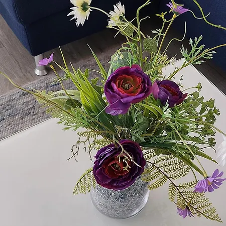 De Stielitsch Apartmán *