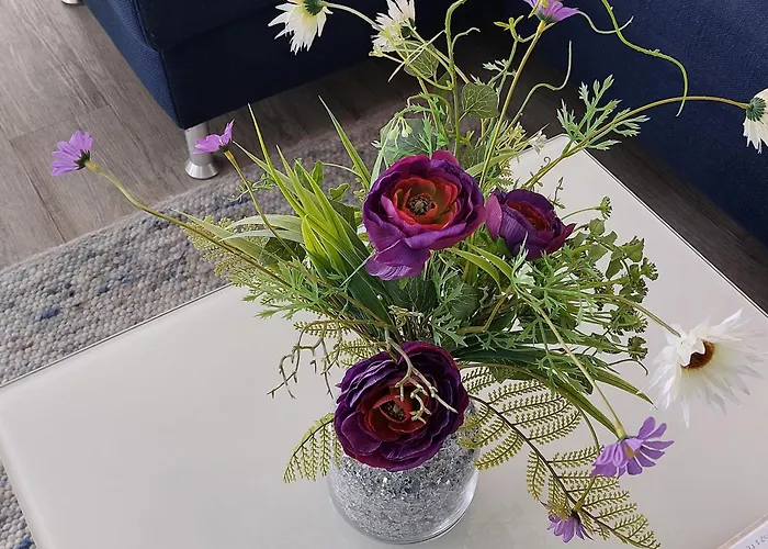 De Stielitsch شقة *